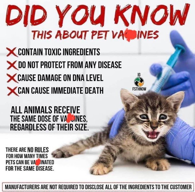 les-vaccins-tuent-les-animaux.jpg