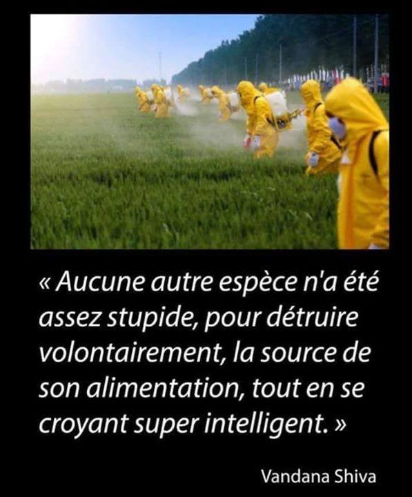 il-ne-fsut-pas-detruire-la-source-de-notre-alimentation.jpg