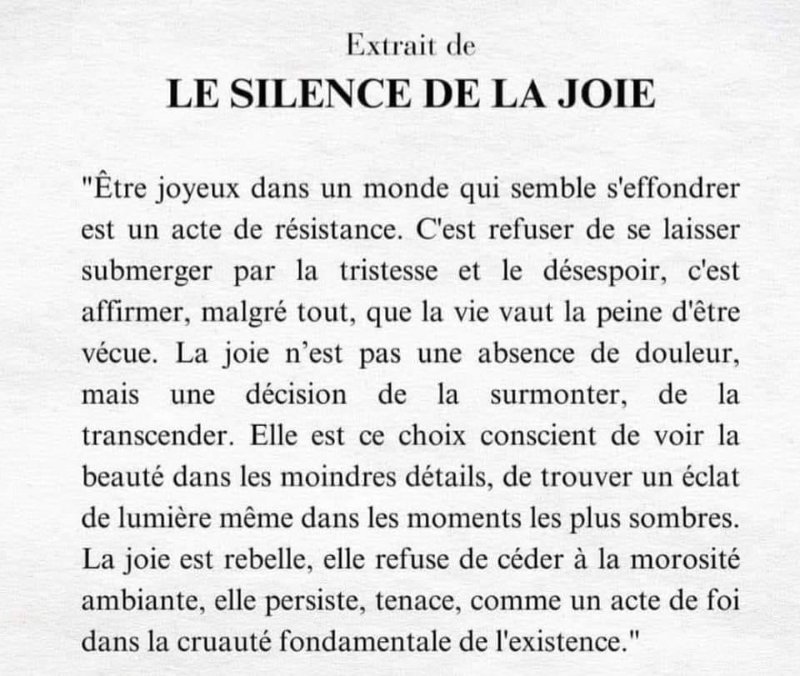 le-silence-de-la-joie.jpg