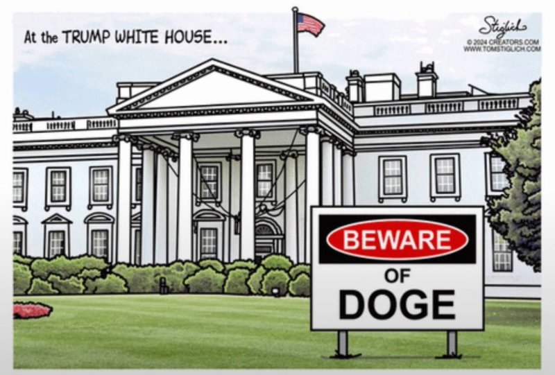 attention-a-doge.jpg