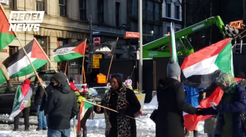 une-autre-manif-pro-palestine-devant-notre-dame-a-montreal-le-8-decembre-2024.jpg