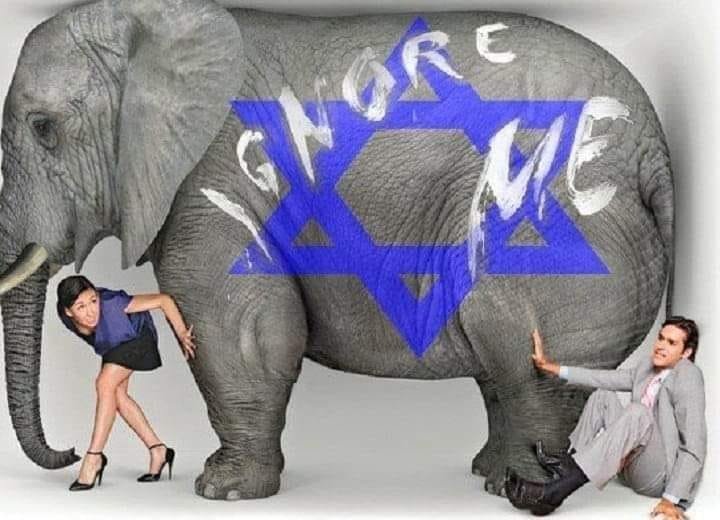 israel-est-l-elephant-dans-la-piece.jpg