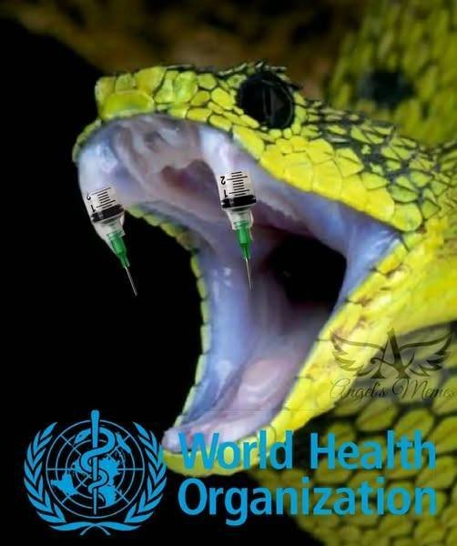 l-oms.jpg