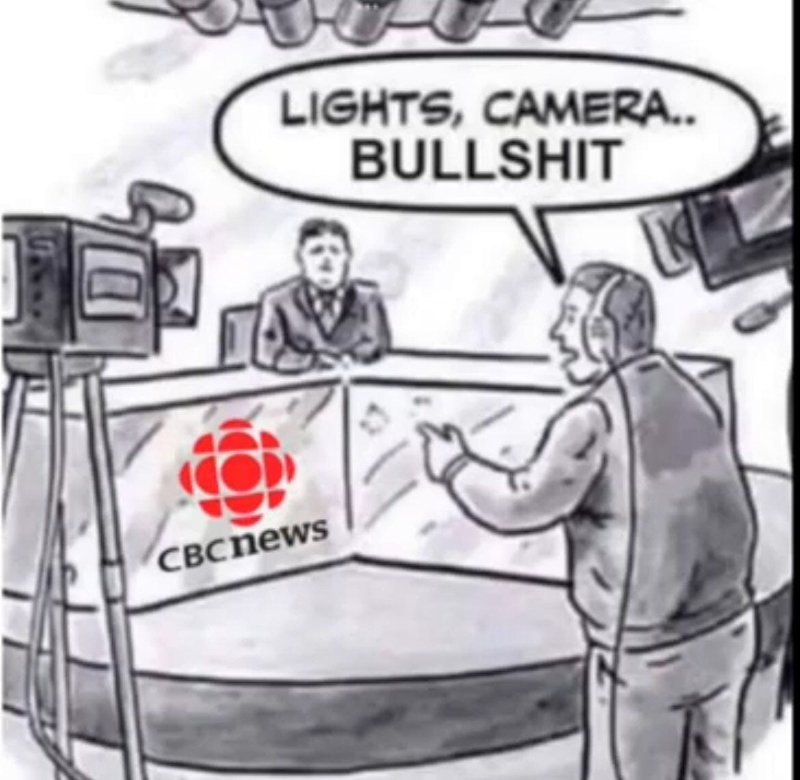 Pour en savoir plus: https://vladtepesblog.com/2024/12/18/masterful-if-incomplete-take-down-of-cbc-in-parliamentary-committee/