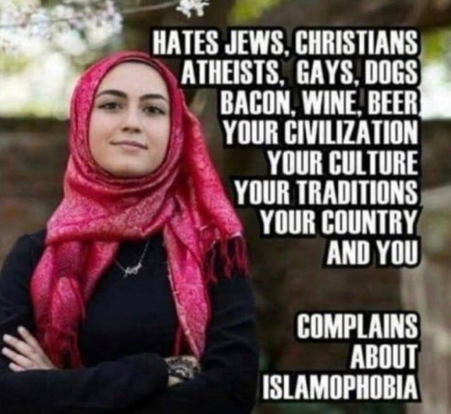 les musulmans-se-plaignent-d-islamophobie-mais-detestent-plein-de-choses.jpg
