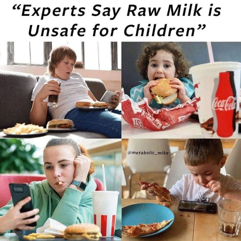 les-experts-qui-disent-que-le-lait-non-pasteurise-est-mauvais-pour-les-enfants-restent-muets-a-propos-de-la-malbouffe.jpg