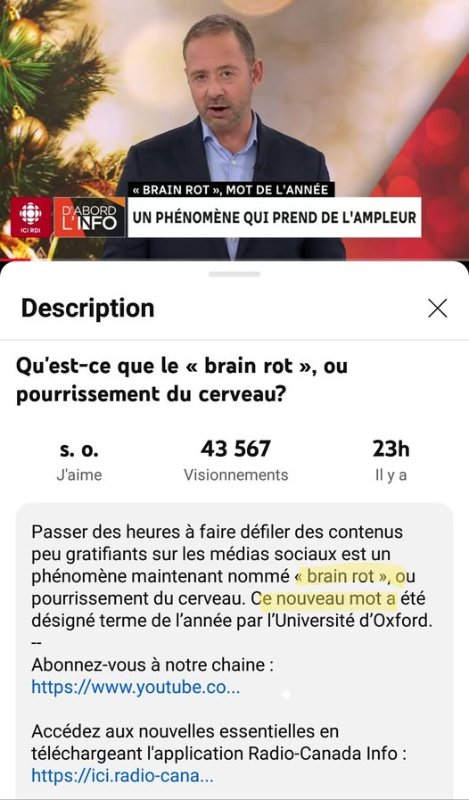 radio-canada-et-le-brain-rot.jpg