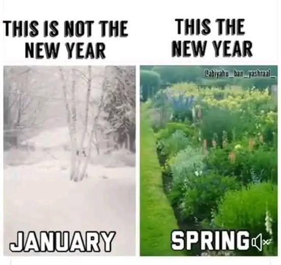 le-nouvel-an-commence-reellement-au-printemps.jpg