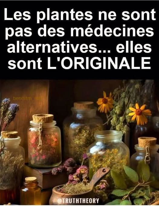 les-plantes-sont-les-medecines-originales.jpg