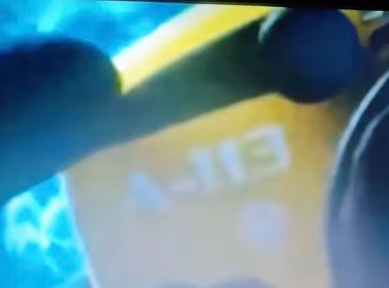 a113-dans-finding-nemo.jpeg