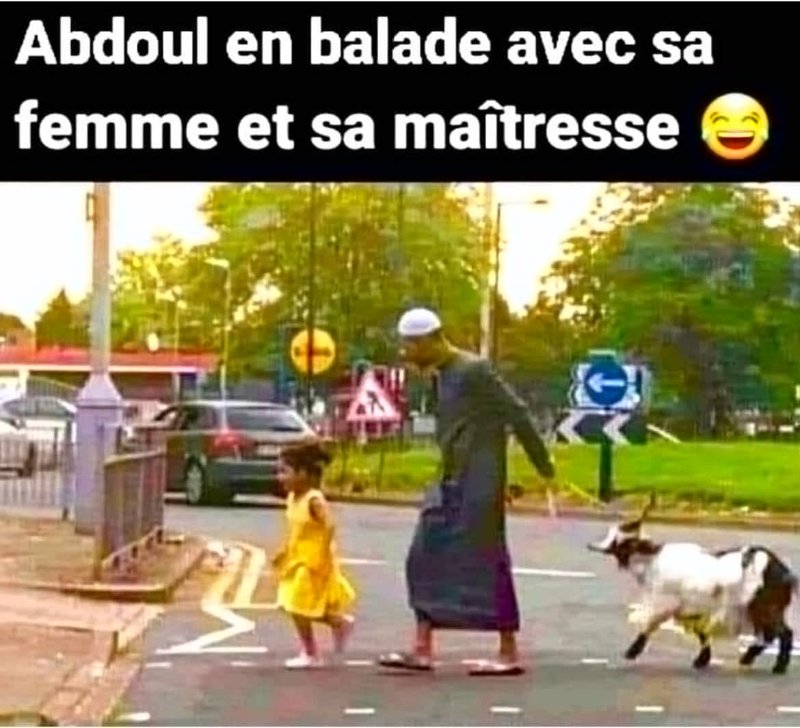 l-islam-est-une-honte.jpg