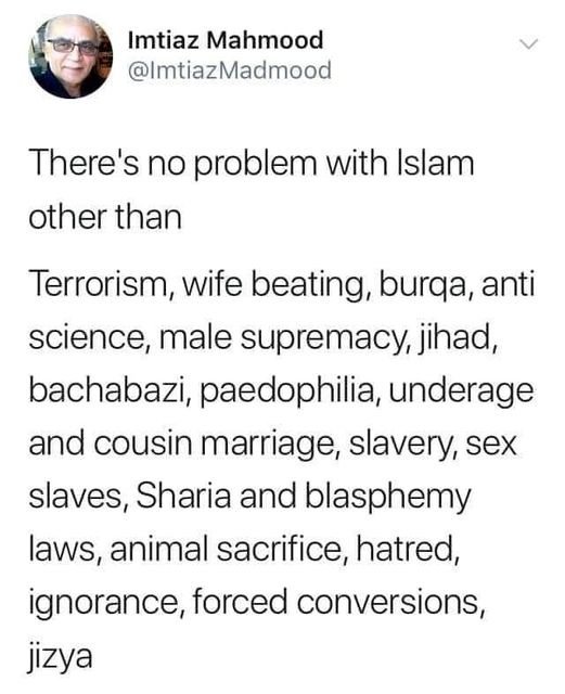 il-n-y-a-pas-de-probleme-avec-l-islam-sauf.jpg