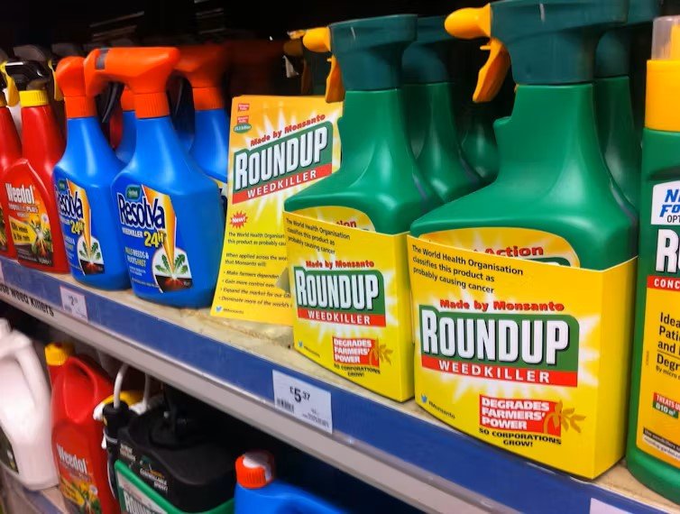 Le glyphosate est un herbicide originellement produit par Monsanto à partir de 1974 (sous la marque Roundup), Global Justice Now/Flickr, CC BY-SA<br /><br />Source: https://www.ens-lyon.fr/actualite/recherche/glyphosate-vous-avez-dit-probablement-cancerogene