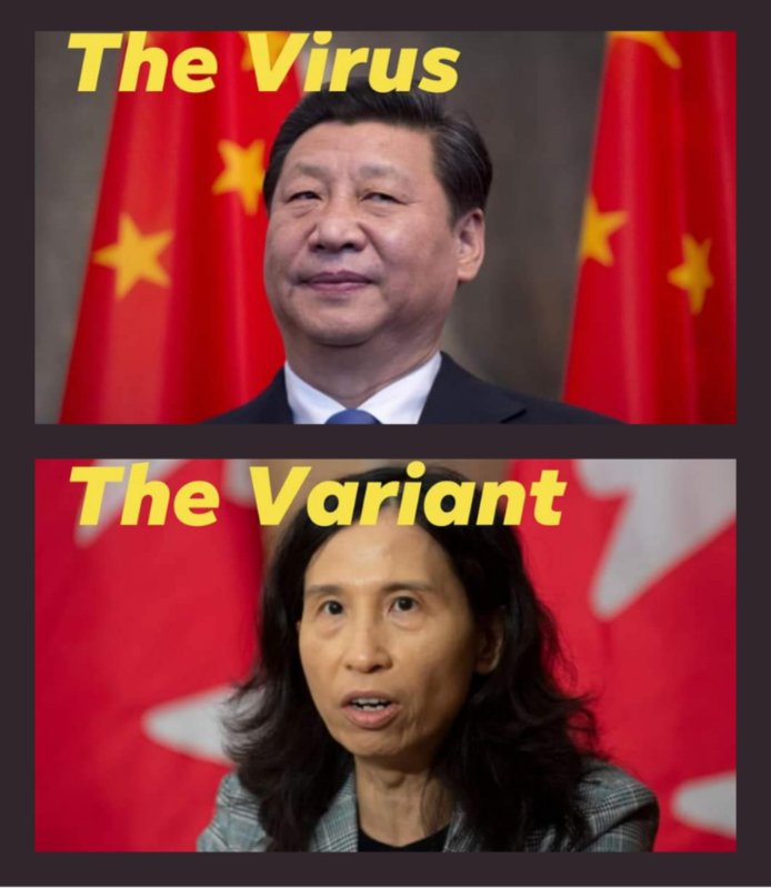 le-virus-et-le-variant.jpg