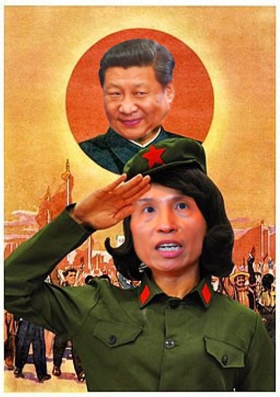 theresa-tam-ne-sert-pas-les-canadiens.jpg