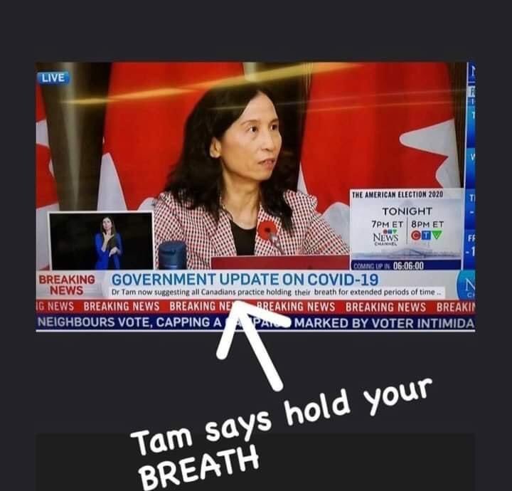 theresa-tam-voulait-que-les-canadiens-retiennent-leur-respiration.jpg