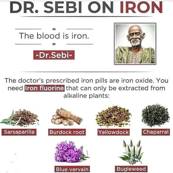 dr-sebi-a-propos-du-fer-dans-le-sang.jpg