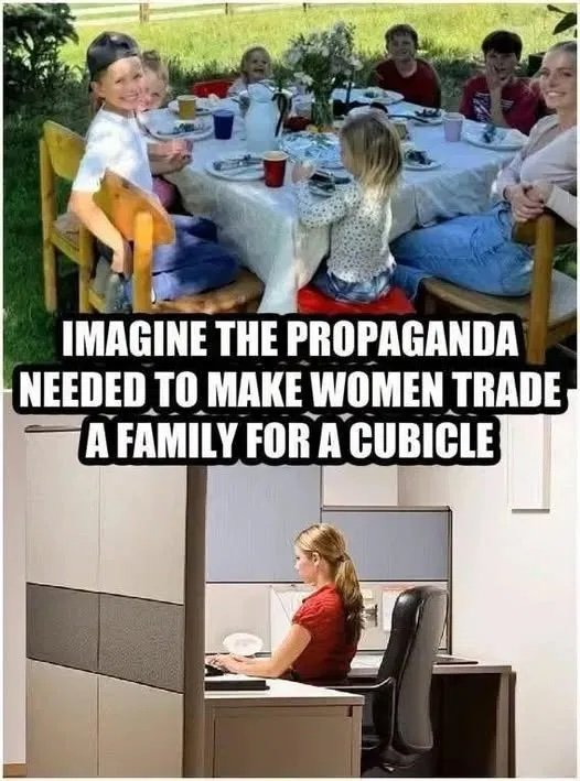 les-femmes-ont-echange-leur-famille-pour-un-cubicule.jpeg