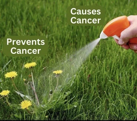 les-pi9ssenlits-protegent-du-cancer.jpeg