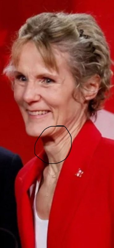 femme-de-mark-carney.jpg
