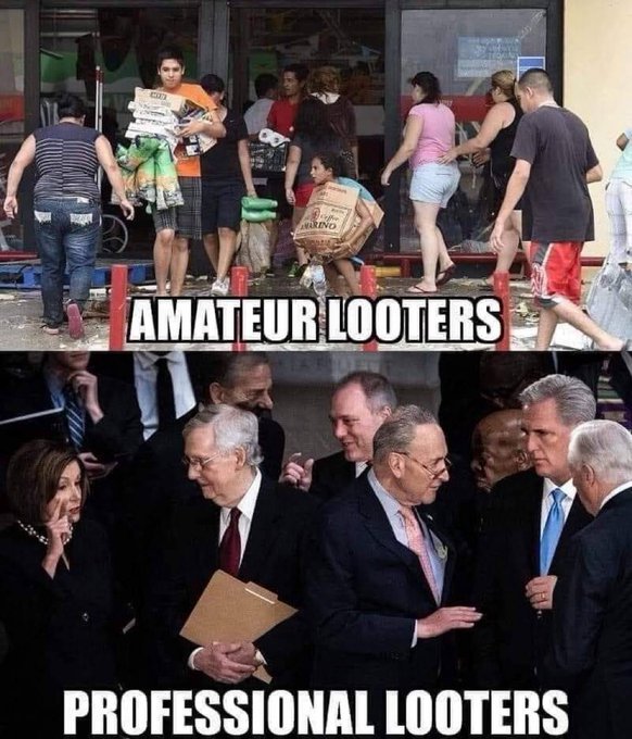 les-coleurs-amateurs-et-les-pros-du-parti-democrate.jpg