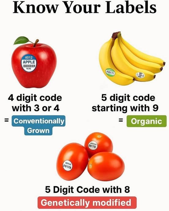 comprenez-les-codes.jpg