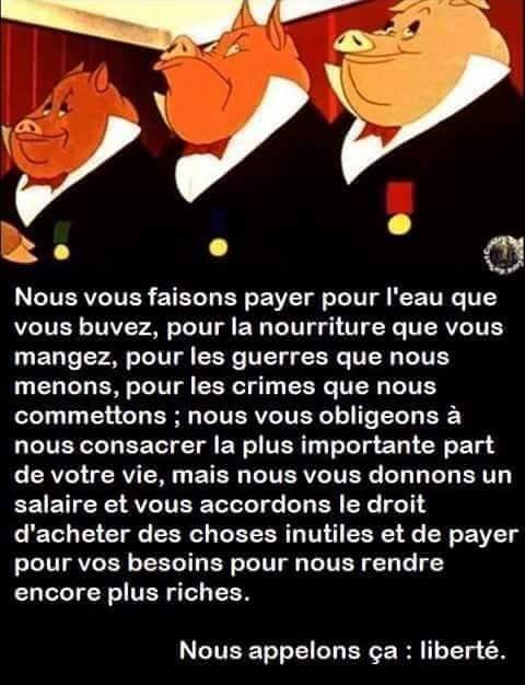 les-abuseurs-parasitaires.jpg