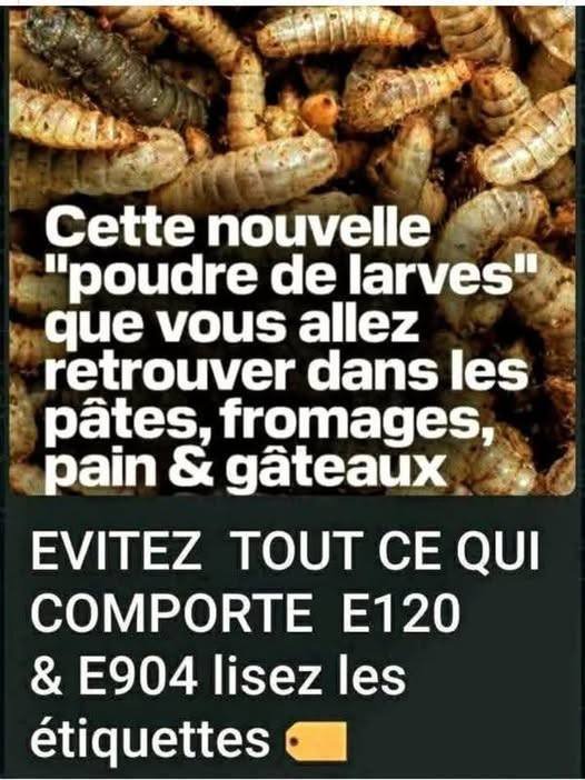 dites-non-a-la-poudre-de-larves.jpg