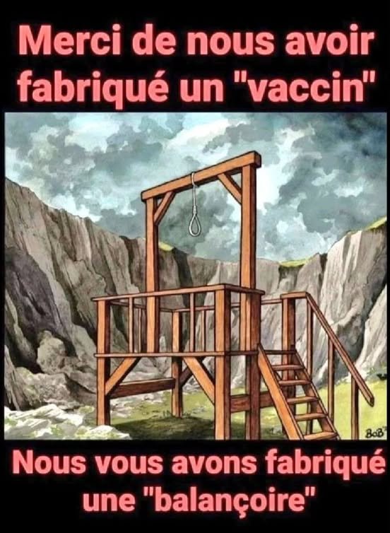 la-balancoire-en-reponse-aux-vaccins-covid.jpg