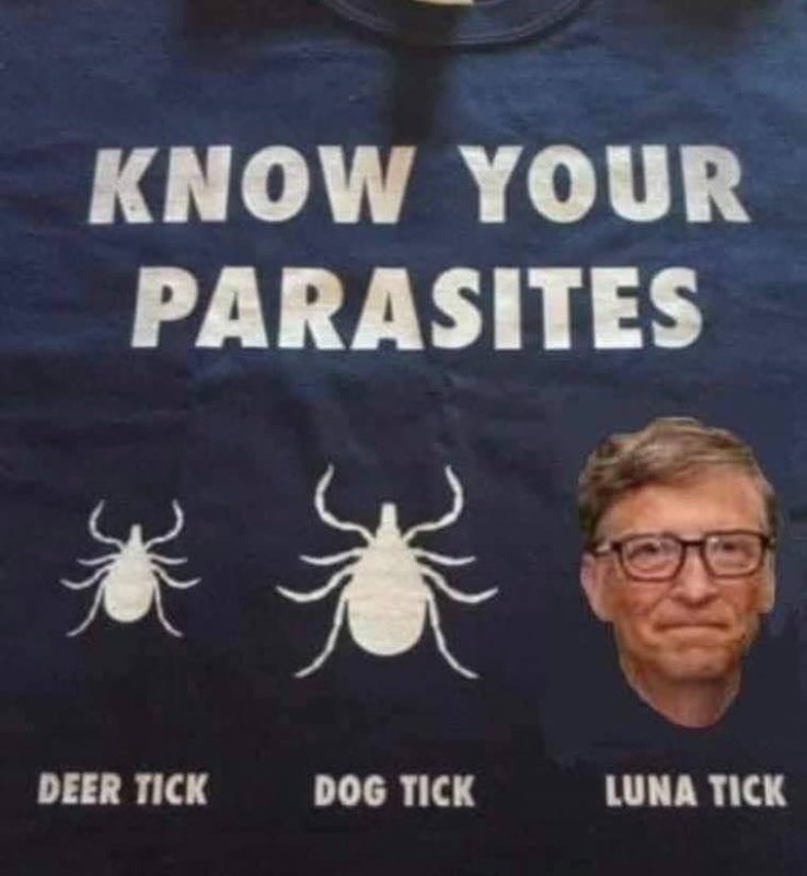 bill-gates-est-un-parasite-lunatique.jpg