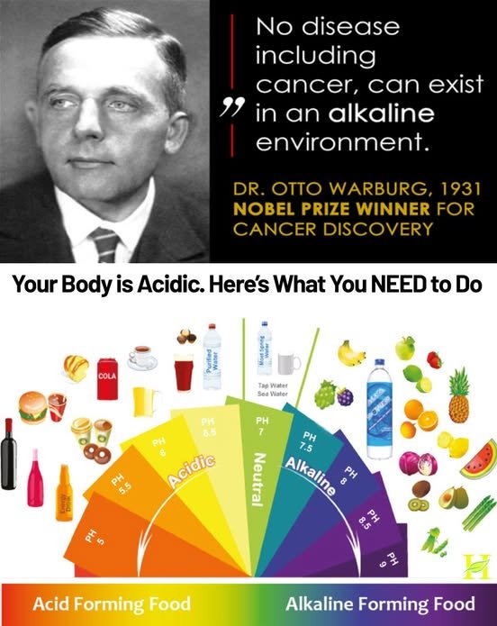 aucune-maladie-ne-peut-exister-en-milieu-alcalin-dr-otto-warburg.jpg