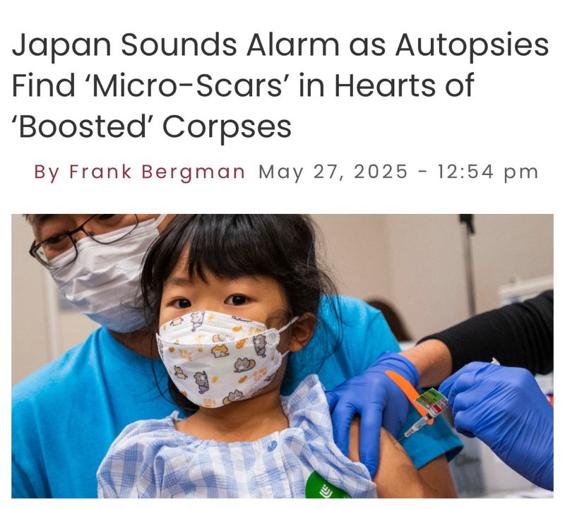 le-japon-sonne-l-alarme.jpg