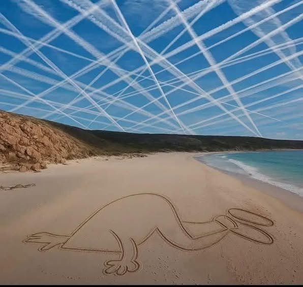 les-normies-et-les-chemtrails.jpg
