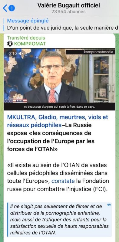 il-existe-des-cellules-pedophiles-au-sein-de-l-otan.jpg