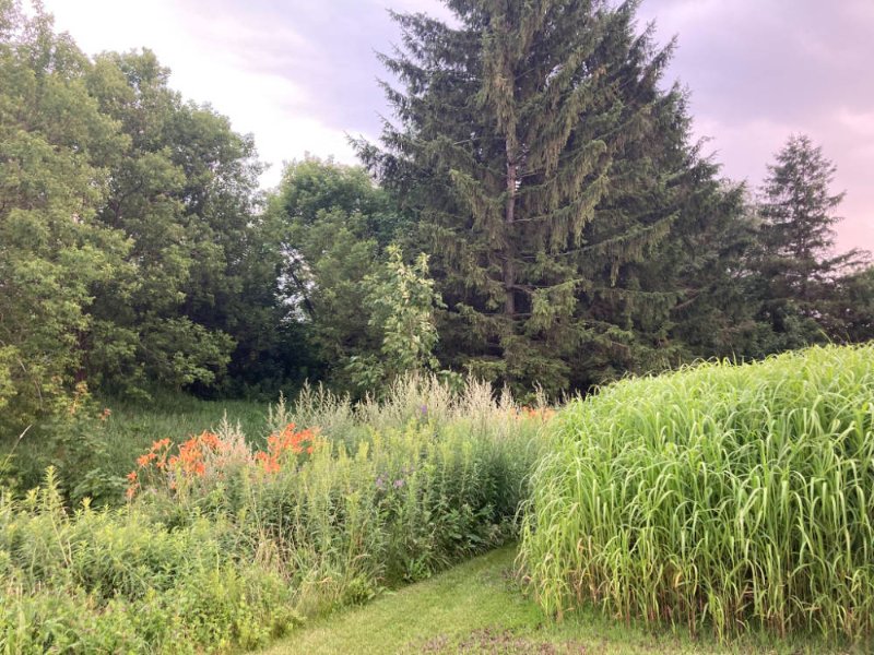 nature-douce.jpg