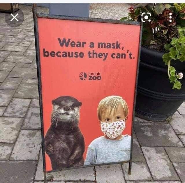les-enfants-doivent-se-masquer-au-zoo-de-toronto-pour-proteger-les-loutres-de-la-covid-19.jpg