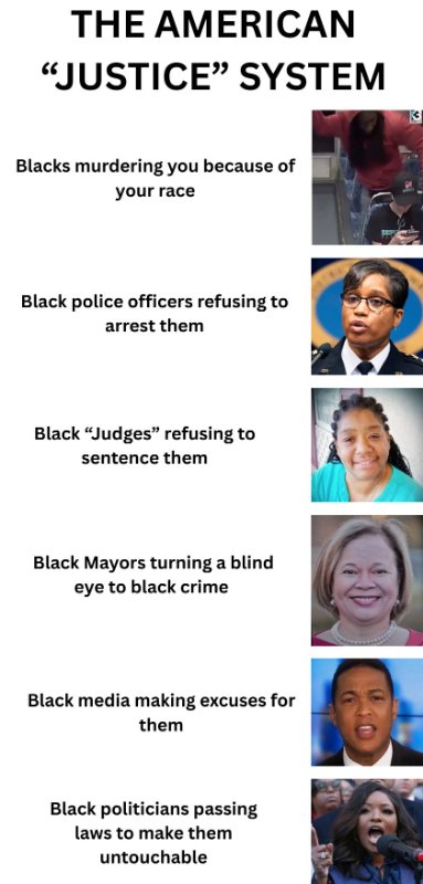 Source: https://x.com/VrilHustler/status/1964543534775898554