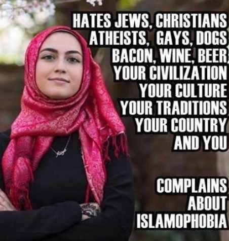 la-maladie-mentale-des-islamistes-lorsqu-ils-utilisent-leur-arme-de-l-islamophobie-pour-se-depeindre-en-victimes.jpg