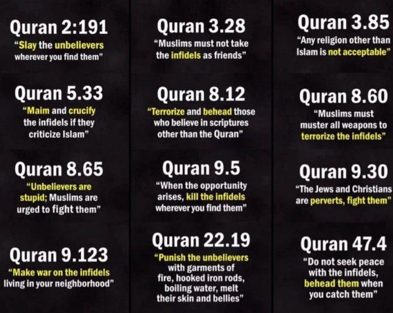 les-verites-a-propos-de-l-islam-que-les-grands-medias-ne-mentionnent-jamais.jpg