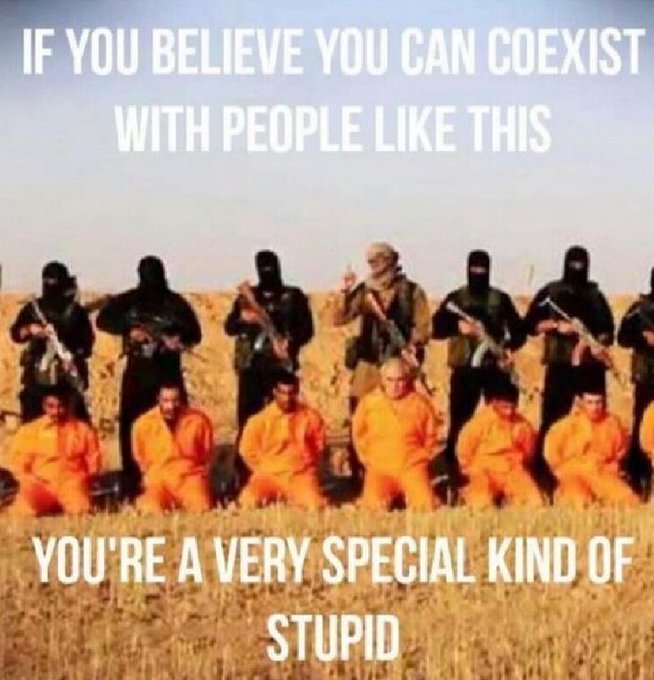 l-occident-ne-peut-pas-cohabbiter-avec-l-islam.jpg