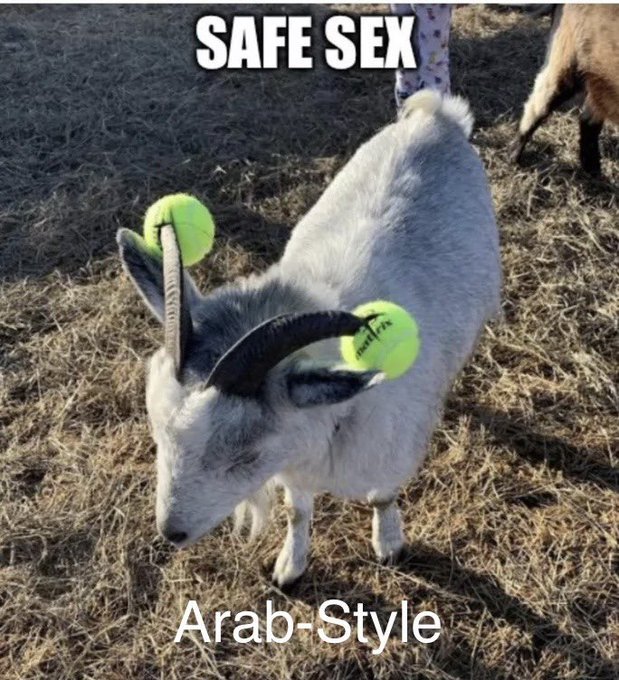 sexe-securitaire-pour-les-islamistes.jpg