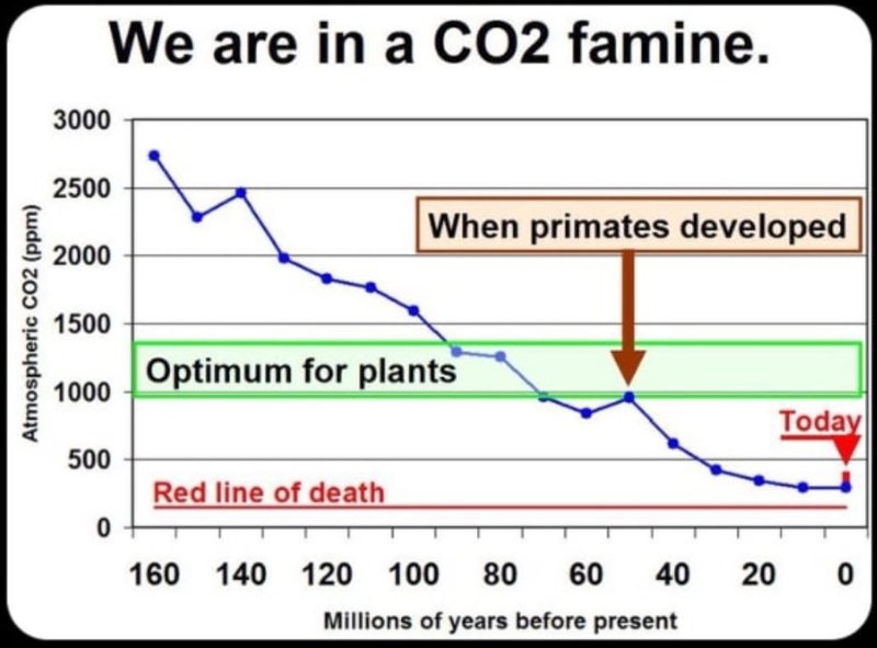 Source: https://x.com/jpkiekens/status/1975283844589977650