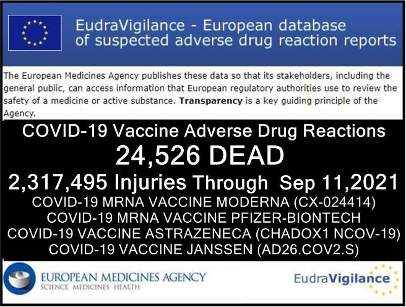 eudravigilance-du-11-septembre-2021.jpg