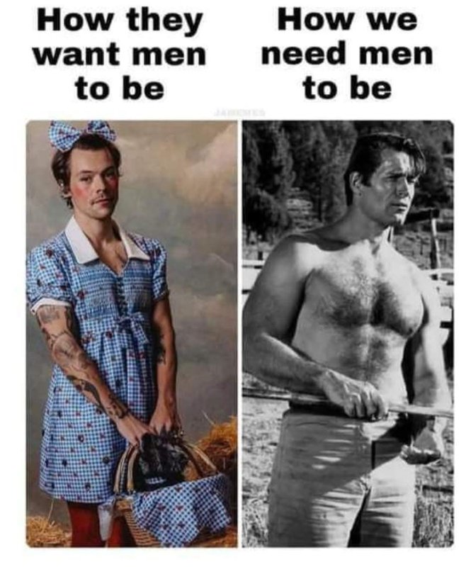 comment-ils-veulent-que-soient-les-hommes.jpg