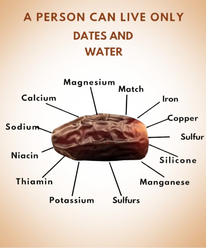 vivre-avec-des-dates-et-de-l-eau.jpg
