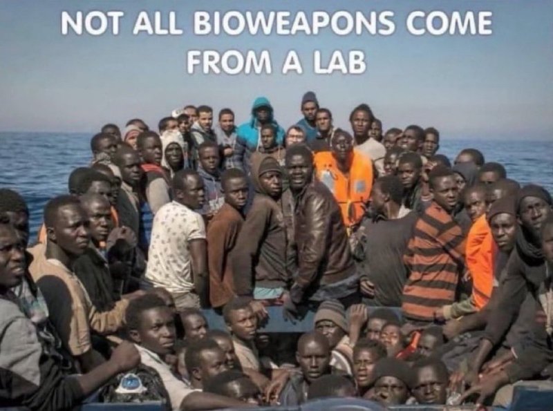 Source: https://x.com/SonsieGal/status/1981967650998849685