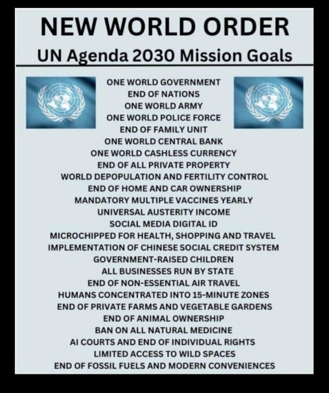 nouvel-ordre-mondial-de-l-onu.jpg