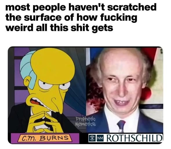 mr-burns-et-rothschild.jpg
