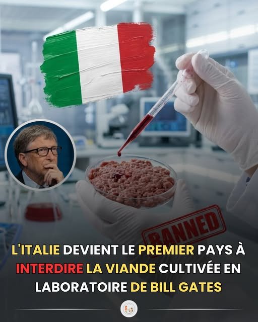 non-a-la-viande-de-labo-de-bill-gates.jpg