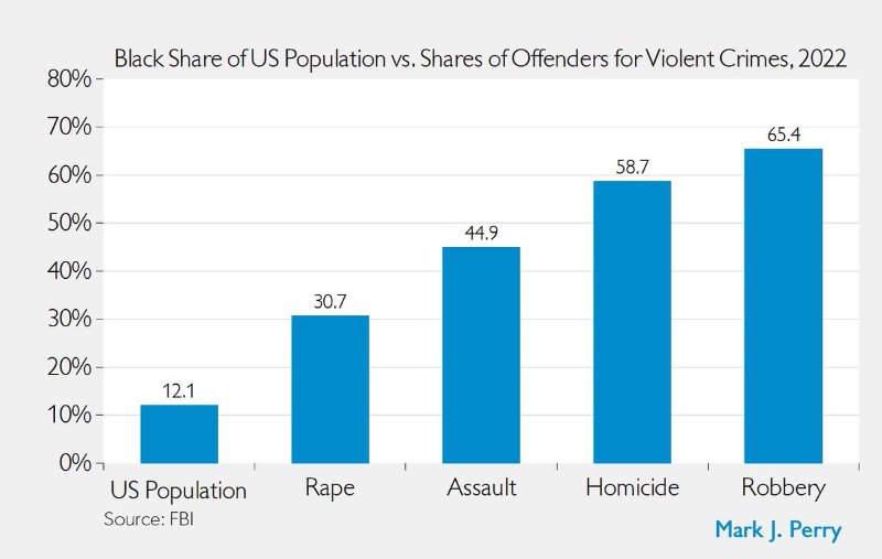 aux-etats-unis-en-2022-ce-sont-les-noirs-qui-sont-les-rapaces-criminelles.jpg